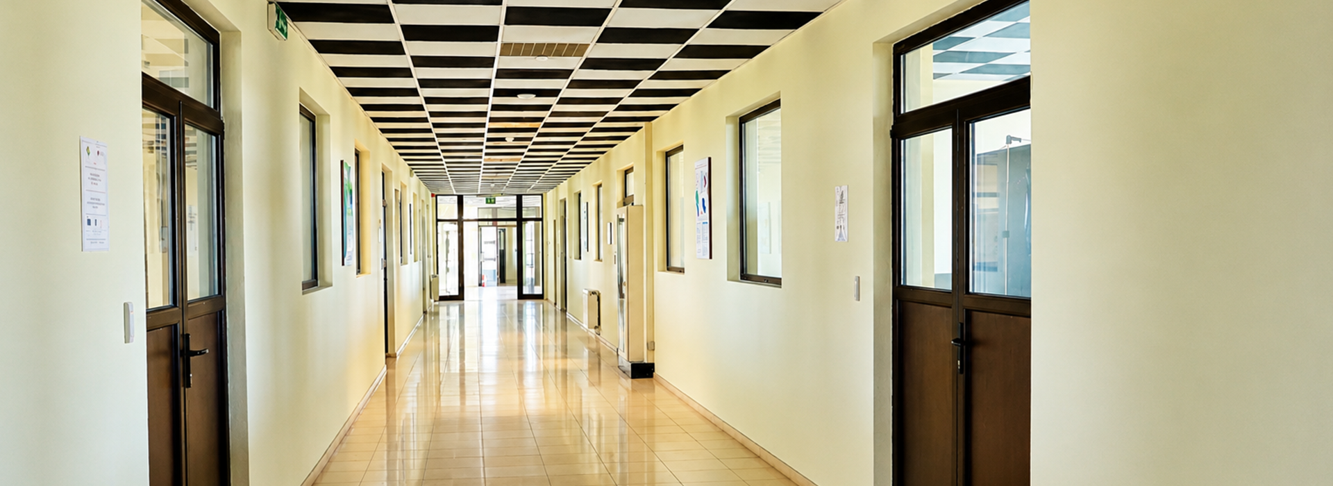 Layerslide Banner 1